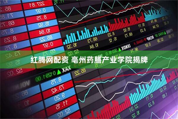 红腾网配资 亳州药膳产业学院揭牌