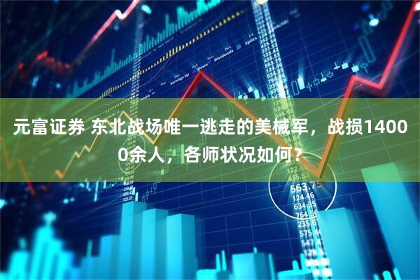 元富证券 东北战场唯一逃走的美械军，战损14000余人，各师状况如何？