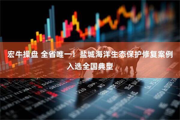 宏牛操盘 全省唯一！盐城海洋生态保护修复案例入选全国典型