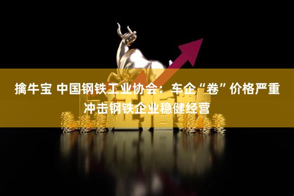 擒牛宝 中国钢铁工业协会：车企“卷”价格严重冲击钢铁企业稳健经营