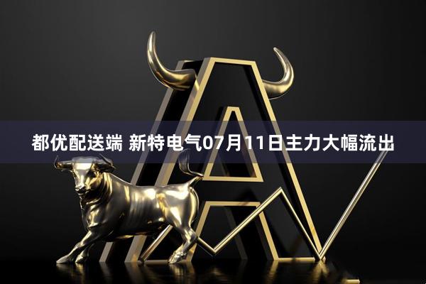 都优配送端 新特电气07月11日主力大幅流出