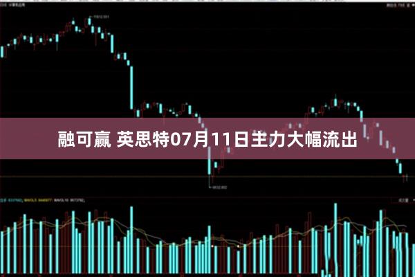 融可赢 英思特07月11日主力大幅流出