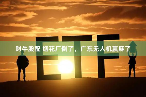 财牛股配 烟花厂倒了，广东无人机赢麻了