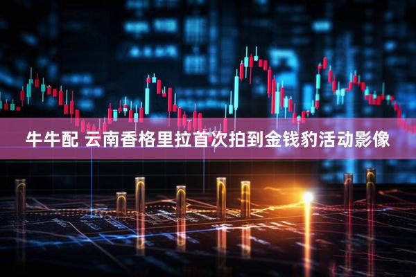 牛牛配 云南香格里拉首次拍到金钱豹活动影像