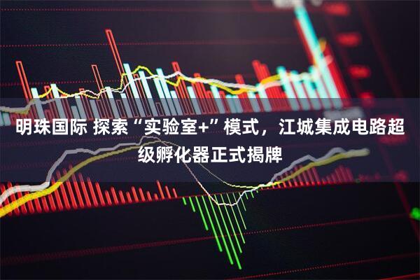 明珠国际 探索“实验室+”模式，江城集成电路超级孵化器正式揭牌
