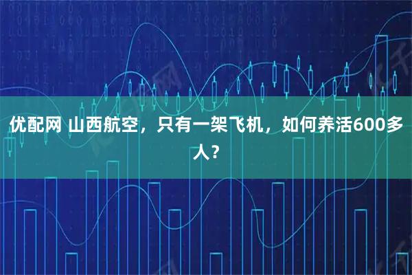 优配网 山西航空，只有一架飞机，如何养活600多人？
