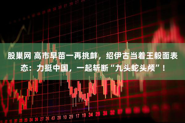 股巢网 高市早苗一再挑衅，绍伊古当着王毅面表态：力挺中国，一起斩断“九头蛇头颅”！