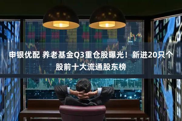 申银优配 养老基金Q3重仓股曝光！新进20只个股前十大流通股东榜
