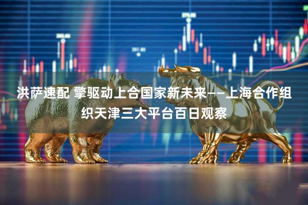 洪萨速配 擎驱动上合国家新未来——上海合作组织天津三大平台百日观察